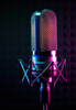 BDO Podcast - Business Voices