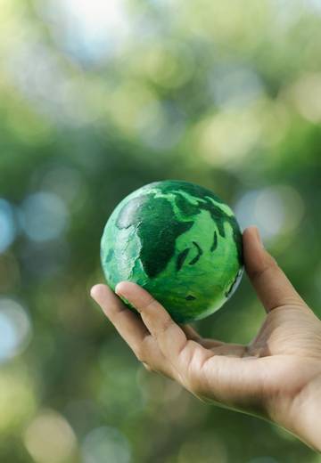 Servicios Climáticos